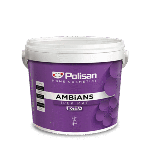 Polisan Ambians